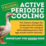 CT60SH Egg Incubator with Automatic Egg Turning & Perfect Humidity Controls, Set & Forget Design, Cabinet Incubators for Hatching Eggs, Incubate and Hatch 60 Chicken Eggs | Hatching Time