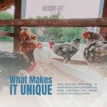 MICROBE-LIFT Chicken Coop Cleaner and Odor Eliminator, Use on All Surfaces and Supplies, Turns Chicken Poop Into Fertilizer, Ammonia Reducer, Highly Concentrated and Safe Formula, 32 Ounces