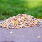 Desert Valley Dove & Quail All Natural Wild Bird Seed (3-Pounds)