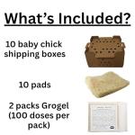 DUNCAN'S FAMILY FARM STORE Duncans Poultry Baby Chick 25 Count Shipping Box Kit - 10 Boxes - 10 Pads - 2-100 Doses GROGEL