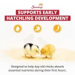 Stromberg's Peck n' Grow Poultry Supplement, 8 Grams