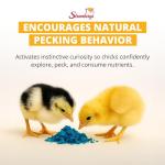 Stromberg's Peck n' Grow Poultry Supplement, 8 Grams