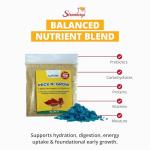 Stromberg's Peck n' Grow Poultry Supplement, 8 Grams