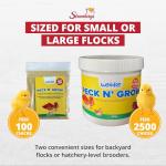 Stromberg's Peck n' Grow Poultry Supplement, 8 Grams