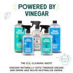 Aunt Fannie's Extra Strength Cleaning Vinegar, 32 oz