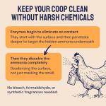 Natural Coop Deodorizer Spray for Poultry - 32 oz