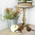 Nature Vibe 7.5 Inches Feathered Quail Decor,Set of 2 Artificial Woodland Animals Figurines with Natural Feather as Fall Decorations for Home or Autumn Harvest Festival