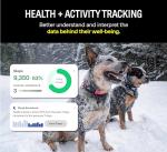 Fi Series 3 Smart Dog Collar - GPS Dog Tracker and Activity & Fitness Monitor, Waterproof, LED Light, Escape Alerts, Nationwide Coverage [Free 1 Year Membership] (Blue, Medium)