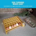 Automatic Egg Turner 1611 Holds 42 Eggs Any Size From Quail To Duck READ
