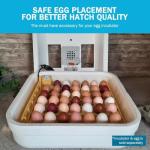 Automatic Egg Turner 1611 Holds 42 Eggs Any Size From Quail To Duck READ