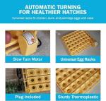 Automatic Egg Turner 1611 Holds 42 Eggs Any Size From Quail To Duck READ