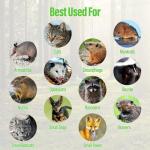 Humane Way Folding 32 Inch Live Humane Animal Trap - Safe Traps for All Animals - Raccoons, Cats, Groundhogs, Opossums - 32"x10"x12",Black