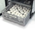 NEW GQF Cabinet Egg Hatcher 1550 w/ LCD Display for Quail Pheasants Chicken