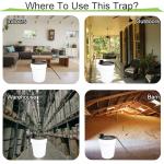 Bucket Lid Mouse Trap Metal 5 Gallon Bucket lid,Strong Metal Material That Cannot be Bitten, auto Reset, Repeat Catch, Indoor Outdoor, (1pack)