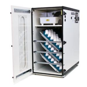 GQF Professional Egg Incubator Cabinet Digital LCD Display Picture Window 1500