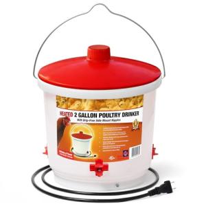 Farm Innovators HB-60P Thermostatically Controlled Heated 2 Gallon Plastic Outdoor Year Round Poultry Chicken Water Bucket Drinker, White/Red