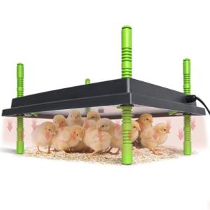 Shaledig Chick Brooder Heater Plate, Brooder Plate for Chicks with Adjustable Height & Temperature Display for Baby Chick&Duck, 30W Constant Temperature Control Chick Warmer for Energy Saving(12"x16")