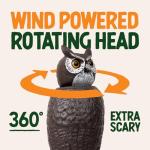 Dalen Rotating Head Fake Owl Decoy to Scare Birds Away from Gardens, Rooftops, and Patios - Scarecrow Provides Chemical-Free Pest Control - Safe and Humane, 18" 360º Rotating Head