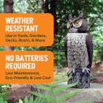 Dalen Rotating Head Fake Owl Decoy to Scare Birds Away from Gardens, Rooftops, and Patios - Scarecrow Provides Chemical-Free Pest Control - Safe and Humane, 18" 360º Rotating Head
