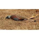 Avery Sporting Dog EZ-Bird Pheasant Training Dummy - 02008