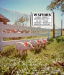 Quail Farm Biosecurity Warning Metal Sign