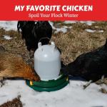 My Favorite Chicken Chicken Water Heater and Deicer - Electric Poultry Waterer for Winter - Portable Design, Freeze Proof Chicken Supplies for Outdoor Use - Water Heater and Warmer for Outside