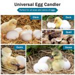 Incu-Bright™ Ultra Bright LED Egg Candler, Incubator Warehouse Exclusive, Rubber Nesting Ring for Candling Seal, Poultry/Reptile, Easily Identify Developing & Non-Developing Eggs, Hatching Eggs, 1102