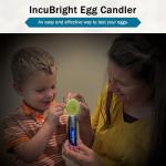 Incu-Bright™ Ultra Bright LED Egg Candler, Incubator Warehouse Exclusive, Rubber Nesting Ring for Candling Seal, Poultry/Reptile, Easily Identify Developing & Non-Developing Eggs, Hatching Eggs, 1102