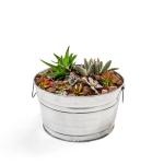 Behrens TV205351 Steel 0GS Galvanized Round Tub, 5 Gallon, 5-Gallon