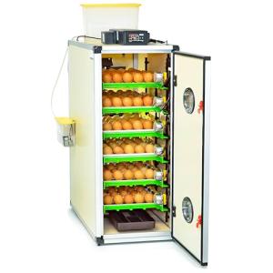 CT180SH Egg Incubator with Automatic Egg Turning & Perfect Humidity Controls, Set & Forget Design, Cabinet Incubators for Hatching Eggs, Incubate and Hatch 180 Chicken Eggs | Hatching Time