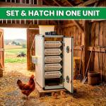 CT180SH Egg Incubator with Automatic Egg Turning & Perfect Humidity Controls, Set & Forget Design, Cabinet Incubators for Hatching Eggs, Incubate and Hatch 180 Chicken Eggs | Hatching Time