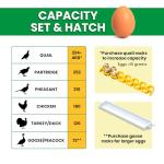 CT180SH Egg Incubator with Automatic Egg Turning & Perfect Humidity Controls, Set & Forget Design, Cabinet Incubators for Hatching Eggs, Incubate and Hatch 180 Chicken Eggs | Hatching Time