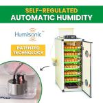 CT180SH Egg Incubator with Automatic Egg Turning & Perfect Humidity Controls, Set & Forget Design, Cabinet Incubators for Hatching Eggs, Incubate and Hatch 180 Chicken Eggs | Hatching Time