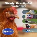 Farm Tuff Top Fill Plastic Poultry and Game Bird Fountain, 5 Gallon Capacity