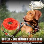 Dog Training Check Cord Tracking Leash Lead - HuntEmUp Ruff-Cord - Train at a Distance with Control - 30 Foot - Orange - Long Lead K9 Pointer Retriever Gundog