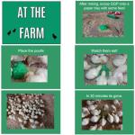 GROGEL Plus B 100 Dose - 5 Packs