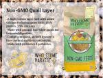 Homestead Harvest Non-GMO Quail Layer 26% for Laying Quail (40 lb)