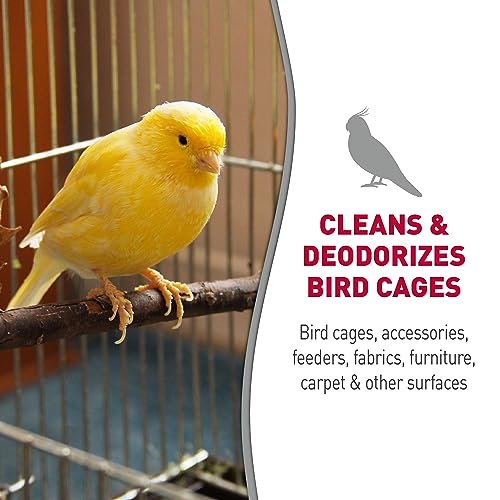 Quail Cage & Surface Cleaning Solution