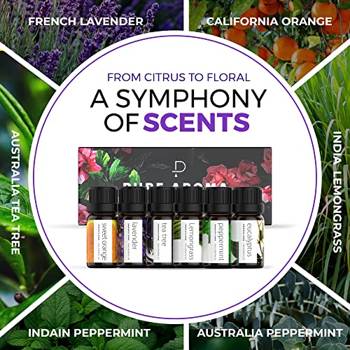 Top 6 Essential Oils Aromatherapy Gift Set