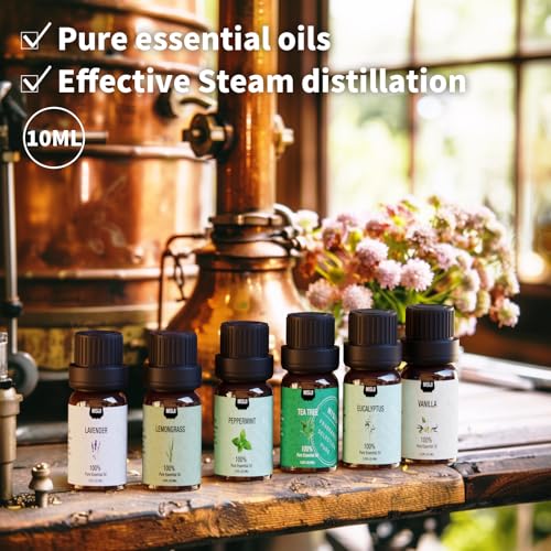Essential Oils Set - Top 6 Aromatherapy Scents