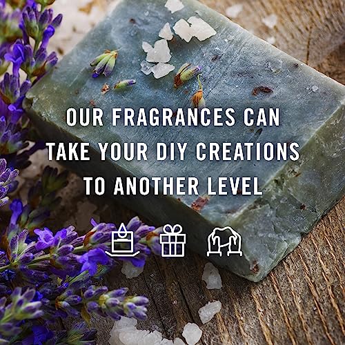 Autumn Fragrance Oil Set for Wellness & Candles