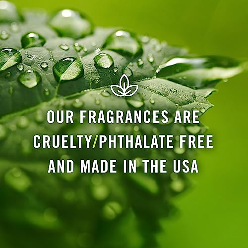 Autumn Fragrance Oil Set for Wellness & Candles