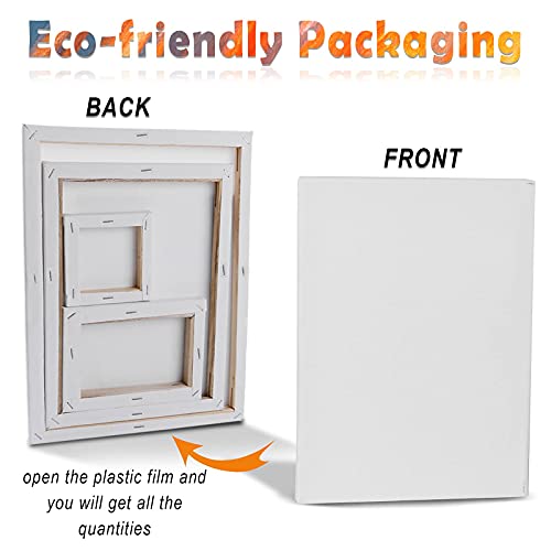 Versatile Canvas Set for Creative Expression