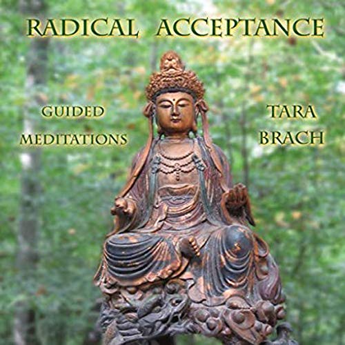 Radical Acceptance Guided Meditation 2-Disc Set