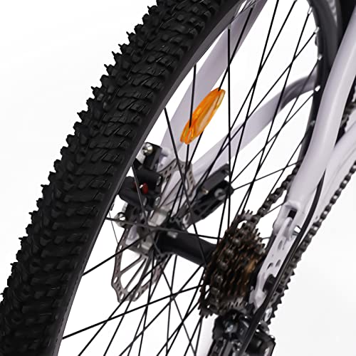 Blue & White 26" Folding Mountain Bike