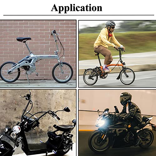 Distinctive Skull Hand Bike Mirror with Mount Clamp