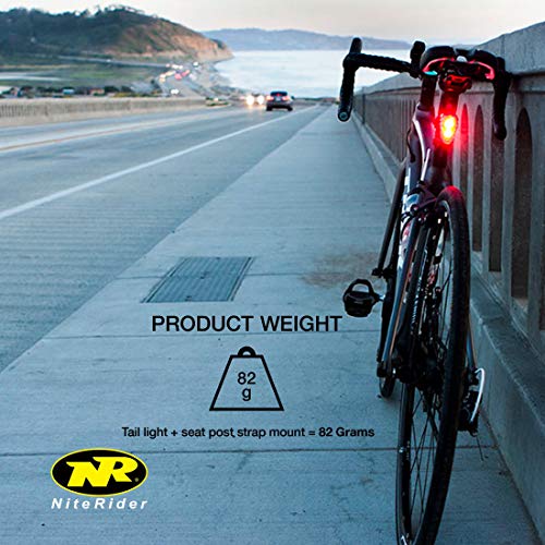 100 Lumens USB Rechargeable Bike Tail Light