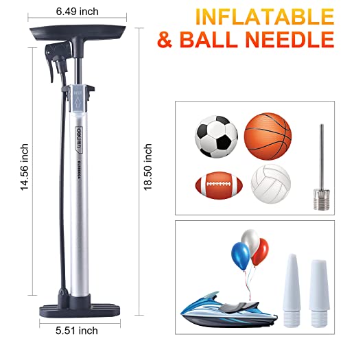 High-Pressure Bike Pump with Dual Valves