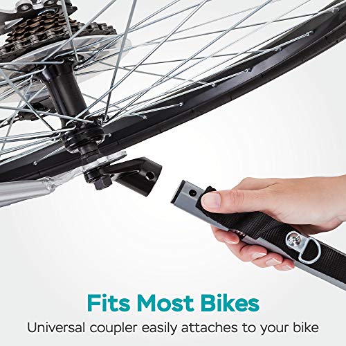 Double Seat Bike Trailer for Kids, Blue