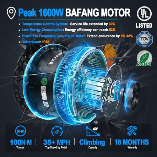 FREESKY Electric Bike 1000W 48V 20Ah 26" Fat Tire
